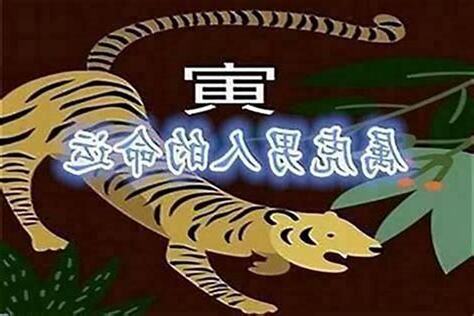 1998 虎